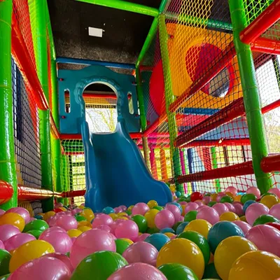 sv-1